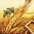 Lords Mobile Elementalist Hero Guide Food Production 1 Lords Mobile Elementalist Photo