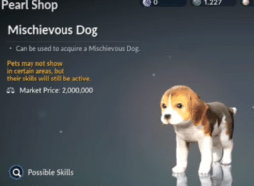 Black Desert Online Pets Guide image 1059 Black Desert Online - Mischievous Dog