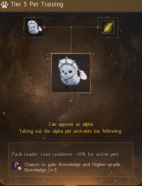 Black Desert Online Pets Guide image 1073 Black Desert Online - Pet Training