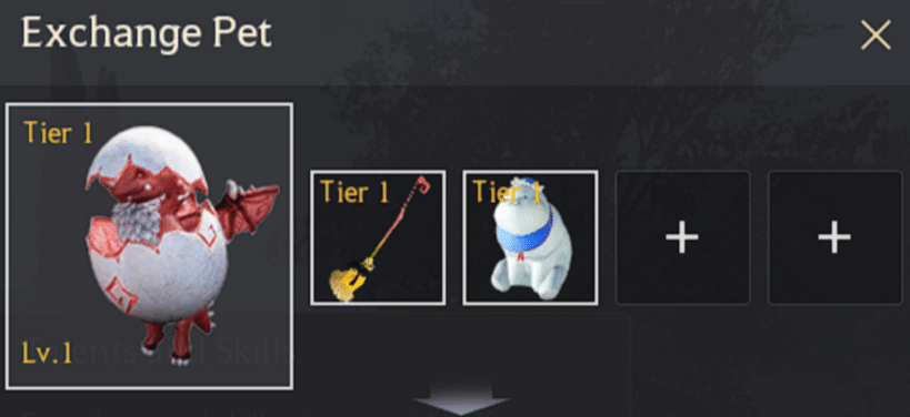 Black Desert Online Pets Guide image 1077 Black Desert Online - Pet Exchange