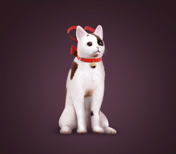 Black Desert Online Pets Guide image 1083 Black Desert Online - Pet Album