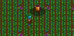 Stardew Valley Ancient Fruit - Theria Games