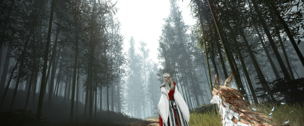 Black Desert Online Donghae Province Guide image 2208 Black Desert Online - Shimnidae Forest