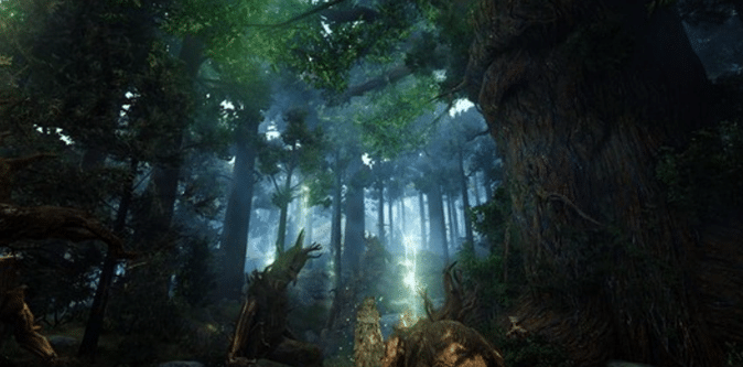 Black Desert Online Donghae Province Guide image 2210 Black Desert Online - Bari Forest