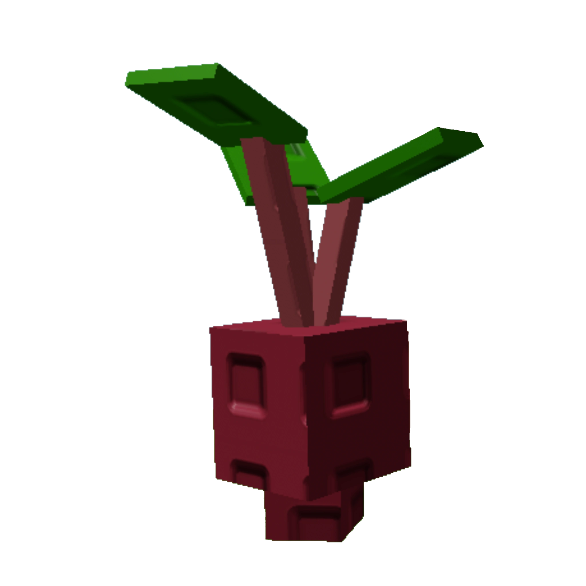 Grow a Garden Seed Stages Evo Beetroot I Grow a Garden Seed Stages - Evo Beetroot I